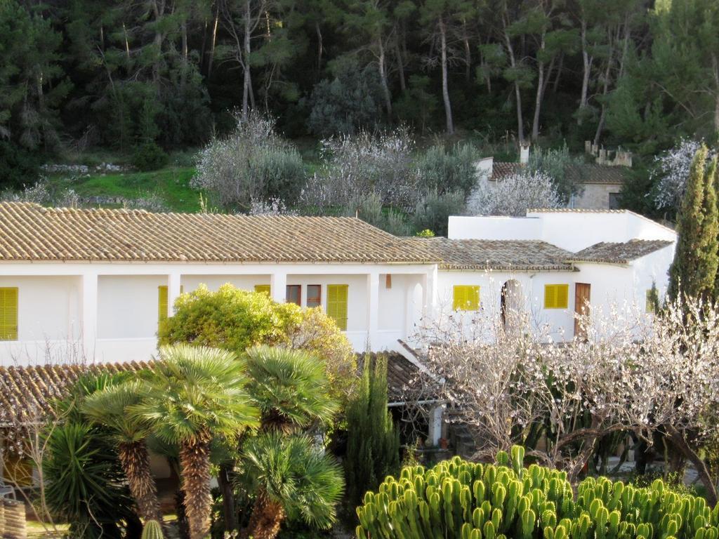 Catalina Vera Guest house